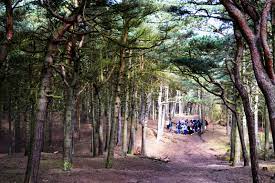 The national trust's formby, merseyside, is a glorious beach with dramatic sand dunes, surrounded by sweeping visitors on the beach at formby, liverpool ©national trust images/chris lacey. Formby Woodland Trust