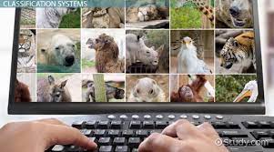What Are Some Limitations Of The Linnaean Classification System Study Com