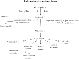 Maybe you would like to learn more about one of these? The Renin Angiotensin Aldosterone System And Heart Failure Cardiology Clinics