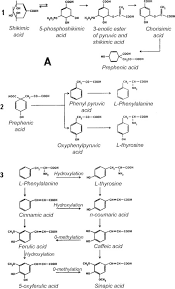 acid radical an overview sciencedirect topics