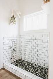 We did not find results for: Shower Time Farmhouse Shower Dog Washing Station Shower Tile