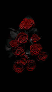 Bir erkekle bir kız gerçekten arkadaş. Pin By Sudeshna Ganguly On Red Roses Wallpaper In 2021 Red Roses Wallpaper Flower Phone Wallpaper Rose Wallpaper