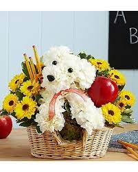 Maybe you would like to learn more about one of these? Shop By Flowers Delivery Colorado Springs Co Sandy S Flowers Gifts