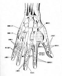 Master Tung Points Hand Related Keywords Suggestions