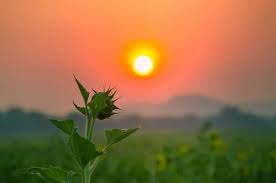 Die sommersonnenwende, auch mittsommer genannt, ist ein fest der sonne und des feuers. Sommersonnenwende Zelebrieren Sie Den Sommeranfang Nach Alter Tradition