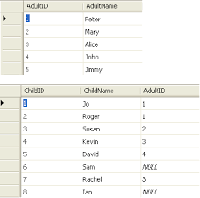 An update query is used to change an existing row or rows in the database. Sql Joins And The Sql Server Management Studio Query Designer