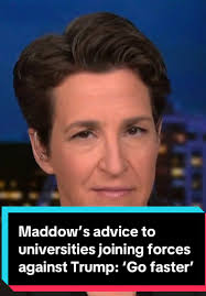 Rachel Mello Tx Senate