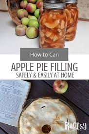 This homemade apple pie filling is very easy to make, it will take you only about 30 minutes. Canning Apple Pie Filling Rootsy Network