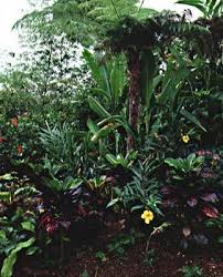 $$$$ blue mountains jamaican fodor's choice. Strawberry Hill S Rainforest Garden Garden Design