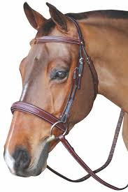 Bit And Bridle Clothing Size Chart Pin On English Saddles Bridles