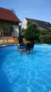 Diy Home Solar Kits Dog Pool Dog Pool Ramp Diy Swimming Pool
