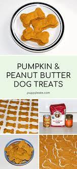 Pumpkin Peanut Butter Dog Treats Easy Dog Treat Recipes Dog Treats Homemade Recipes Dog Treats Homemade Pumpkin