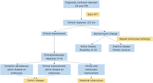 Differentiating Crohns Disease From Intestinal Tuberculosis