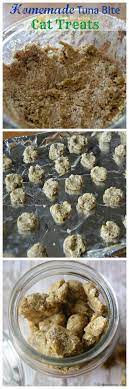 Pin On Homemade Cat Treats