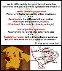Pin On Medical