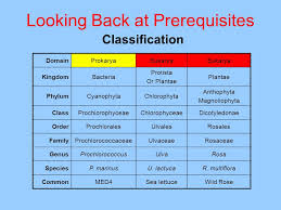 Looking Back At Prerequisites Ppt Video Online Download