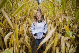 We did not find results for: Midland 4th Graders Tour Laurenz Family Farm