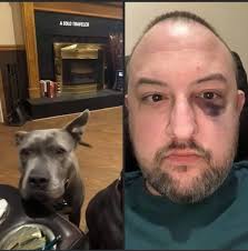 They told me crazy because I talk to my dogs, maybe it will be crazy ki to  his dogs he doesn't talk