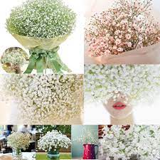Buy Artificial Fake Baby S Breath Gypsophila Silk Flowers Bouquet At Affordable Prices Free Shipping Real Reviews With Photos Joom