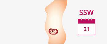 Ich bin auf der suche nach einer übersichtlichen tabelle oder auflistung wie groß und schwer mein baby in welcher gibts denn keine tabelle wo von anfang bis ende der ss woche für woche eine ungefähre größen bzw. 21 Ssw Schwangerschaftswoche Baby Gewicht Grosse In 21 Ssw