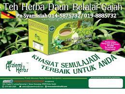 We did not find results for: Teh Daun Belalai Gajah Sarawak Posts Facebook