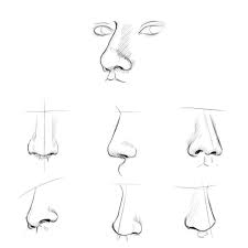 Drawing Nose Nose Drawing Learn To Draw Digital Painting Tutorials Subscribe to this channel for this and more.