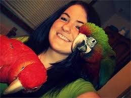 More than 300 animals seized from New York home