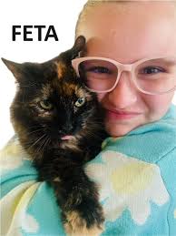 Adopt a cat at Petsmart San Leandro today tomorrow