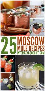 The difference between bucks and mules saying can i get a vodka buck? 25 Moscow Mule Recipes Mule Recipe Moscow Mule Recipe Yummy Drinks