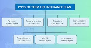 Life (other than gul), accident, critical illness, hospital indemnity, and disability plans are insured or administered by life insurance company of north america, except in ny, where insured plans are offered by cigna life insurance company of new york (new york, ny). Term Insurance Coverage Claim Exclusions