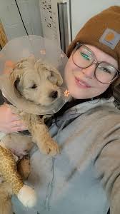 Hi! I'm Karol from Scooby Groom 🐶 I can help you book an appointment or  answer any questions—just send me a message anytime. ✓ First-time clients  get 10% off 🦷 Free teeth brushing &