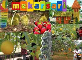 Bila dari jakarta waktu tempuh untuk menuju ke tempat ini lebih kurang satu jam. Tts Taman Buah Mekarsari Level 16 Masnurul
