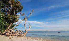 Salah satu pantai yang ada di surabaya adalah pantai kenjeran, pantai ini pernah mengalami penurunan reputasi dan sejak beberapa tahun terakhir dan saat ini mengalami peningkatan reputasi kembali. 10 Wisata Pantai Terhits Dekat Bandung Yang Wajib Anda Kunjungi Java Travel