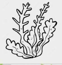 Check spelling or type a new query. Pin By Crimson Cook On Inspiration Coral Reef Coloring Pages Plant Coloring Pages Coral Coloring Pages