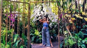 Ini merupakan alternatif seru bagi para pasangan pecinta alam. Termasuk Singapore Botanic Gardens Inilah 3 Kebun Raya Tertua Di Dunia Tribun Batam