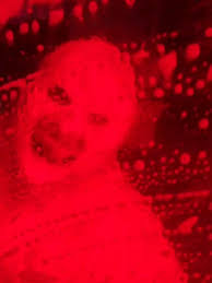 Tunnel of Terror Car Wash Tommys Southgate