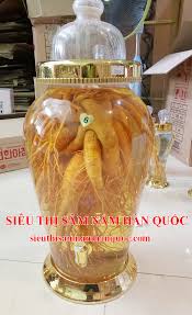 1kg sâm tươi Hàn Quốc 5 củ giá bao nhiêu tiền