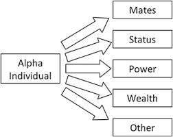 Dominance Hierarchy An Overview Sciencedirect Topics