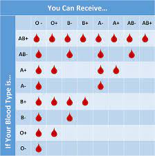 Blood types coolguides, basic eligibility guidelines for blood donation securenow blog, blood types explained a b ab and o red cross blood, blood type chart facts and information on blood group types, blood types chart 7 free pdf download documents free. What S Your Type