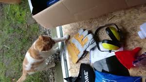 Automatic, centrifugal clutch with bevel gear, diaphragm carburettor starting method: Aosome Garden 5 In 1 Multitool Unboxing Youtube