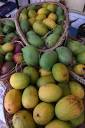 🍴 Where can you get organic mangoes in Tamil Nadu this season ...