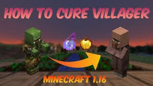 The particles floating around the zombie villager will turn from gray to red. How To Turn A Zombie Villager Into A Villager In Hindi Herunterladen