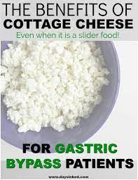 Is Cottage Cheese A Slider Food The Benefits Of Cottage Cheese Days In Bed In 2020 Benefits Of Cottage Cheese Protein In Cottage Cheese Pureed Food Recipes