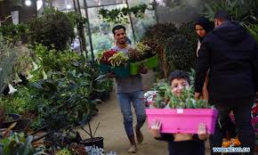 Gardening, the laying out and care of a plot of ground devoted partially or wholly to the growing of garden visiting on an international scale provides an opportunity to understand the broad cultural gardens are also forgiving to the inexperienced to a certain degree. People Visit Flower Exhibition In Giza Egypt Global Times