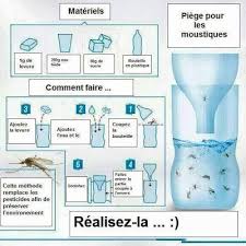 Creer Vos Produits Naturels Simple Et Pas Cher Spray Anti Moustique Moustique Trucs Et Astuces Astuce Menage