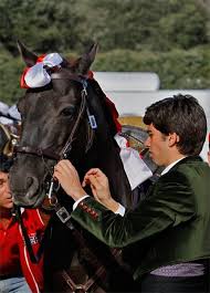 João moura despertou para o toureio a cavalo por influencia familiar; Joao Moura Hijo Caballos Peralta