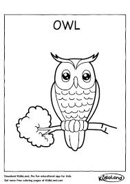Crayons, markers, pencils, sharpeners and more! Download Free Owl Coloring Page And Educational Activity Worksheets For Kids Kidloland Com