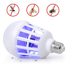 Pin On Decorative Bulbs