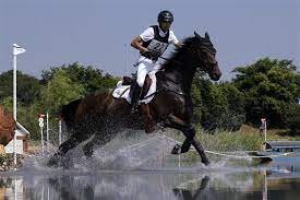 Fouaad mirza (born 6 march 1992) is an indian equestrian who won silver medals in both individual eventing and team eventing at the 2018 asian games.he became the first indian since 1982 to win a medal at an individual equestrian event at the asian games. Saa15syxc1pdim