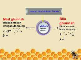 Bacaan tajwid idham ada 2 yaitu idgham bigunnah dan idgham bilagunnah. Idgham Bilaghunnah Dan Maal Ghunnah
